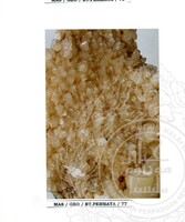 ALAM SEMULAJADI BATU PERMATA JILID 1