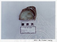 ARKEOLOGI SG. MAS, KEDAH SM : 32 / 2001 / 252 - 498 (JILID 2)