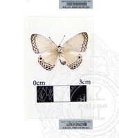 ALAM SEMULAJADI RAMA-RAMA JILID 1