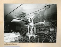 BALAI PAMERAN KEBUDAYAAN 1982