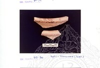 ARKEOLOGI SG. MAS, KEDAH SM. 32-4/93 VOL : 4 W