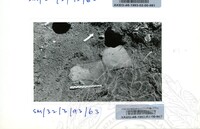 ARKEOLOGI SG. MAS, KEDAH SM : 32-3/93 VOL : 6 HP