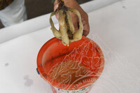 KERJA-KERJA PENYELIDIKAN DI PAHANG, TERENGGANU, KELANTAN