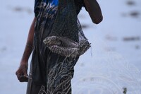 HMA 2025- 26.7.2025 - AKTIVITI BENDANG PAGI (AWAM), SUASANA AKTIVITI SISIPAN DALAM MUZIUM & SEKITAR MUZIUM