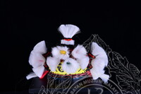 PENDOKUMENTASIAN ALAT HIASAN KEPALA