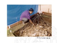 ARKEOLOGI SG. MAS, KEDAH SM: 32-5/ 93 VOL: 3 W