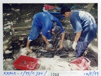 ARKEOLOGI KOTA KUALA MUDA 1999 JILID 7