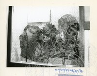 PAMERAN KEBUDAYAAN (1986) (BALAI A)