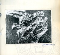 BAHAN PURBA LEMBAH BUJANG, KEDAH 1 (ETNOLOGI)