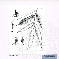 PAMERAN DURIAN RAJA SEGALA BUAH