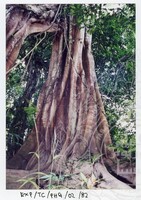 SURVEI KAWASAN SEKITAR TASIK CHINI DAN PENEMPATAN PENDUDUK ORANG ASLI YANG MENGHUNI SEKITAR KAWASANNYA PADA 27 OKTOBER 2002