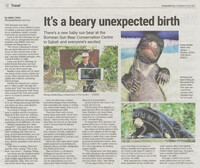 The Star - 08 Julai 2021 - It's a beary unexpected birth