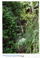 ARKEOLOGI SG, MAS, KEDAH  SM: 32-14/ 2000 (JILID 3)