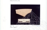 ARKEOLOGI SG. MAS, KEDAH SM : 32-4/93 VOL:2 W