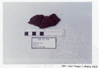 ARKEOLOGI SG. MAS, KEDAH SM : 32 / 2001 / 252 - 498 (JILID 2)