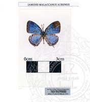 ALAM SEMULAJADI RAMA-RAMA JILID 1