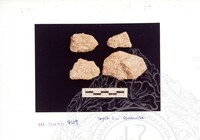 ARKEOLOGI SG. MAS, KEDAH SM. 32-4/93 VOL : 4 W