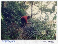 ARKEOLOGI GUA PERALING KELANTAN 1994 JILID 1 