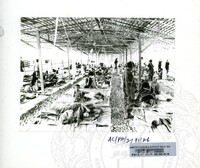 PAMERAN KEMPEN SEDUNIA UNTUK MELINDUNGI MANGSA-MANGSA PERANG 1991