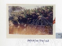 PAMERAN KEINDAHAN ALAM 1994