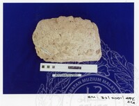 ARKEOLOGI SG. MAS, KEDAH SM : 32 / 2001 / 252 - 498 (JILID 2)