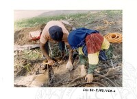 ARKEOLOGI SG. MAS, KEDAH SM: 32-5/ 93 VOL: 3 W