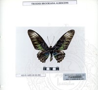 ALAM SEMULAJADI RAMA-RAMA JILID 1