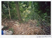 ARKEOLOGI GUA-GUA BATU KAPOR DI SEKITAR LEMBAH KINTA IPOH, PERAK