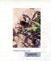 ARKEOLOGI SUNGAI MAS KEDAH 1993 FASA 2 W JILID 2