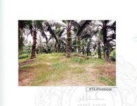 ARKEOLOGI TAMPAN, LENGGONG, PERAK JILID 4