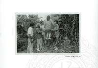 ARKEOLOGI SG. MAS, KEDAH SM : 32-3 / 93 VOL : 9 HP