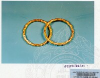 Perhiasan Diri Gelang Kaki