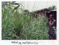 ARKEOLOGI EKSPLORASI L. BERNAM 2001 JILID 1