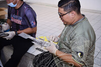 BENGKEL TAKSIDERMI IKAN