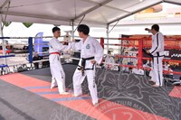 HMA 2025- 26.7.2025 -  PERTUNJUKAN TAEKWONDO