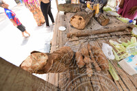 CITRA NUSA @ MUZIUM MAGIS BELANTARA