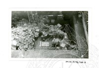 ARKEOLOGI SG. MAS, KEDAH SM: 32-5/ 93 VOL: 5 W