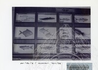 PAMERAN BALAI EKONOMI 1982