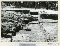 ARKEOLOGI BENDANG DALAM TPK 50 1974