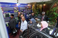 HMA 2025- 29.7.2025 - PROGRAM SISIPAN, SUASANA SEKITAR RERUAI, CROWD DI MUZIUM PADI