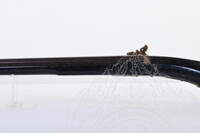 PENDOKUMENTASIAN KOLEKSI SENJATA API, BAHAGIAN PENGURUSAN KOLEKSI