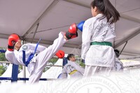 HMA 2025- 26.7.2025 -  PERTUNJUKAN TAEKWONDO