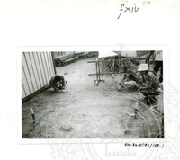 ARKEOLOGI SG. MAS, KEDAH SM: 32-5/ 93 VOL: 5 W