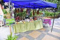 SEMARAK MUZIUM 2020@MSKOA ALBUM 1