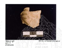 ARKEOLOGI SG. MAS, KEDAH SM: 32-5/ 93 (ARTIFAK)