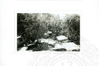 ARKEOLOGI SG. MAS, KEDAH SM, 32-4,93 VOL,3 HP FASA 4 LOKASI, POKOK, LAWATAN, CERAMAH, AKTIVITI - HITAM/ PUTIH. HASSAN