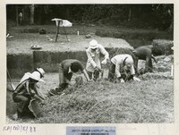 ARKEOLOGI BENDANG DALAM TPK 50 1974
