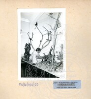 PAMERAN RAJA KITA 1981