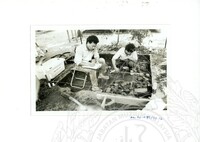 ARKEOLOGI SG. MAS, KEDAH SM: 32-4/ 93 VOL: 2 HP