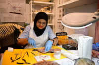 HMA 2024 - CONTENT PAMERAN